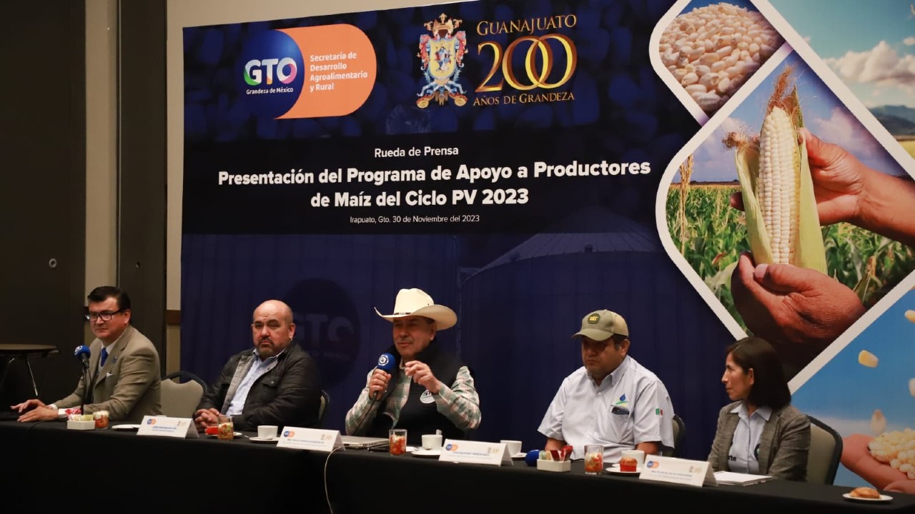 Destinarán 256 mdp para cultivos afectados por sequía en Guanajuato