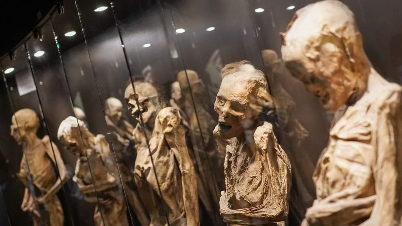 Museo de las Momias recibió más de 500 mil visitantes en 2023