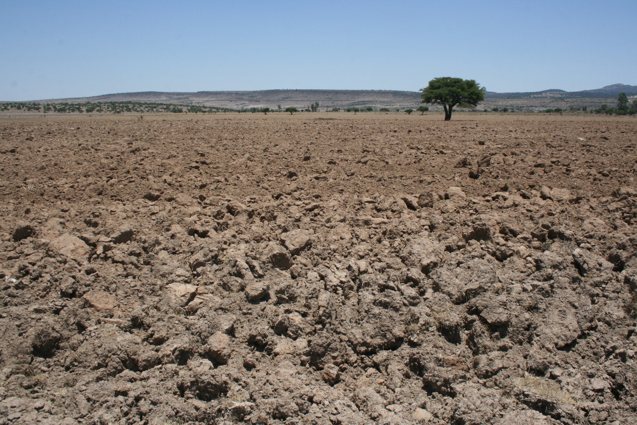 Afecta a Guanajuato sequía extrema; presa en Dolores a punto de secarse